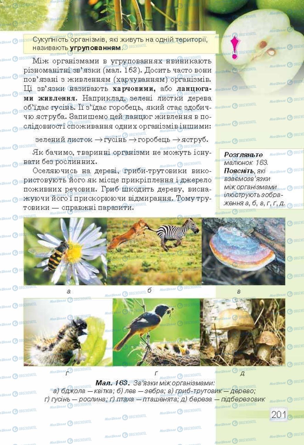 Учебники Природоведение 5 класс страница 201