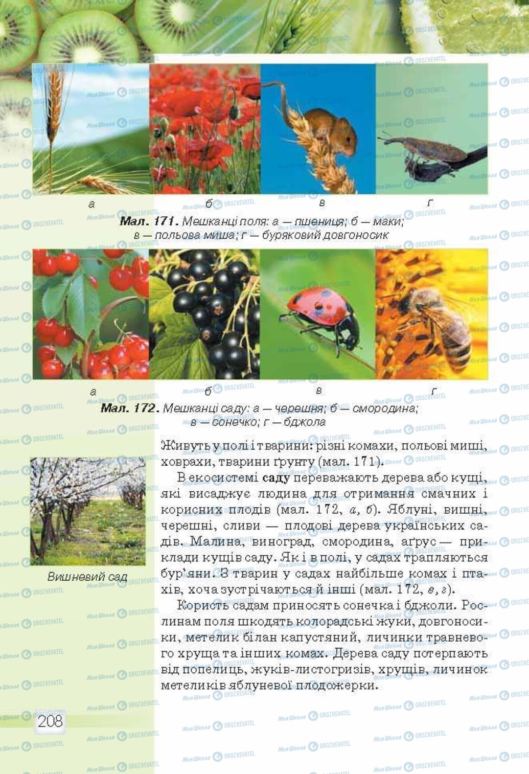 Підручники Природознавство 5 клас сторінка 208