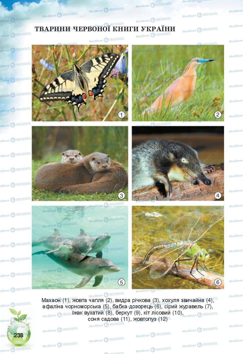 Підручники Природознавство 5 клас сторінка 238