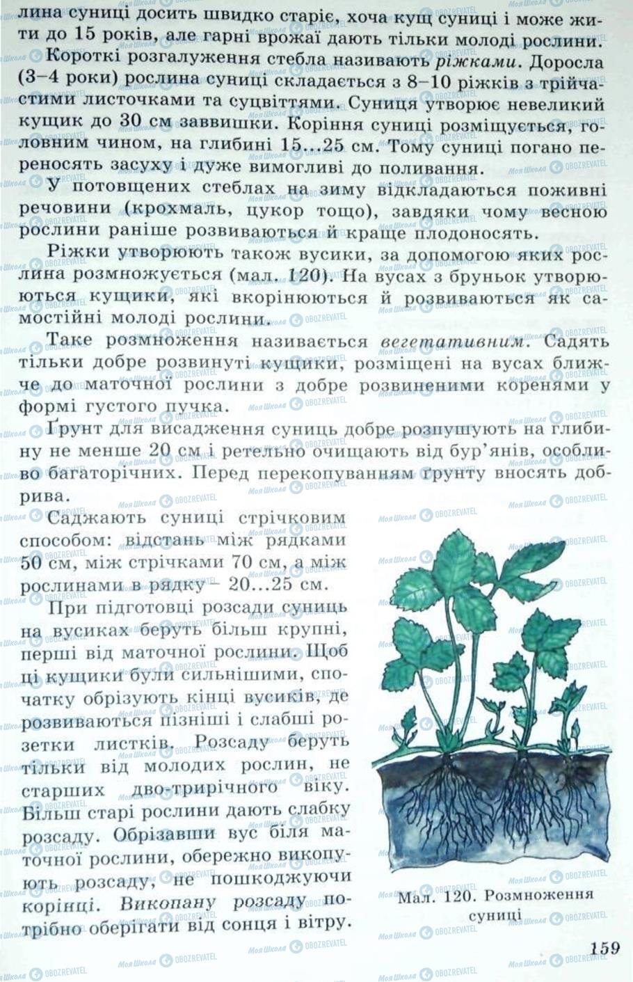 Підручники Трудове навчання 5 клас сторінка 159