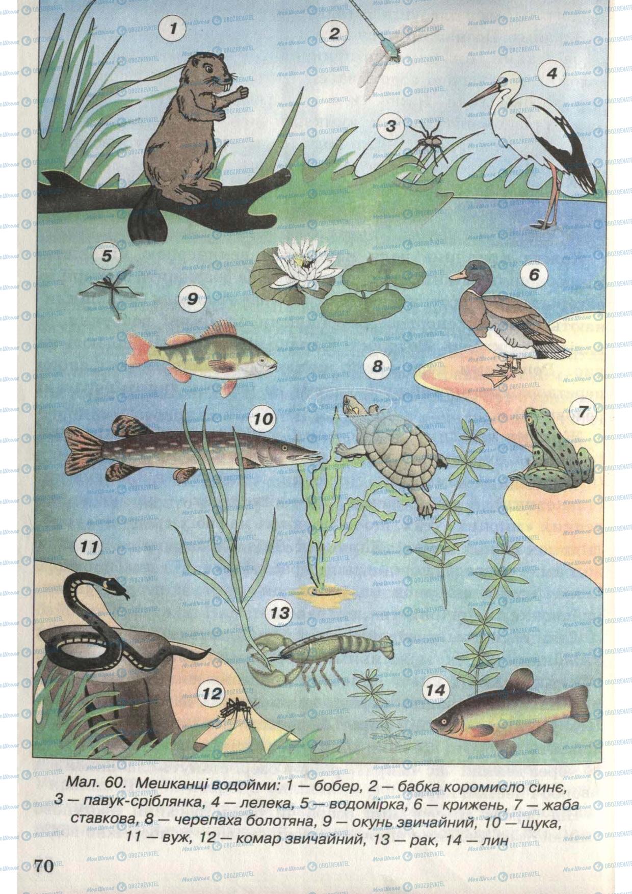 Учебники Природоведение 6 класс страница 70