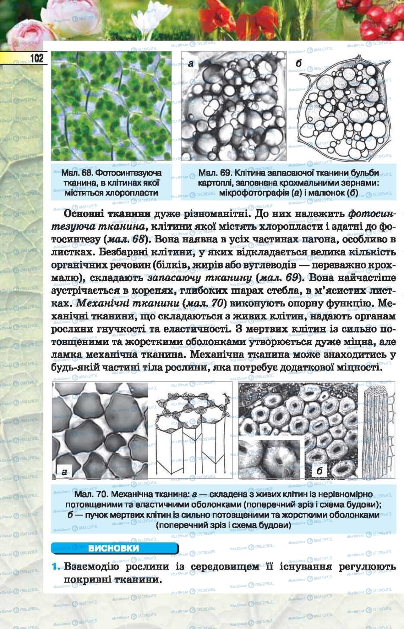 Підручники Біологія 6 клас сторінка 102