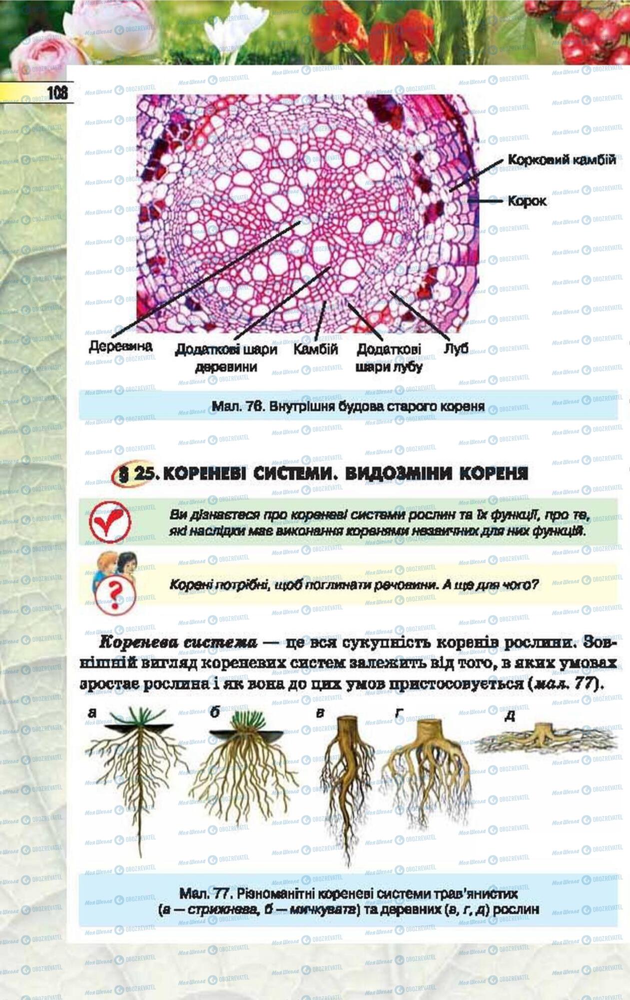 Учебники Биология 6 класс страница 108