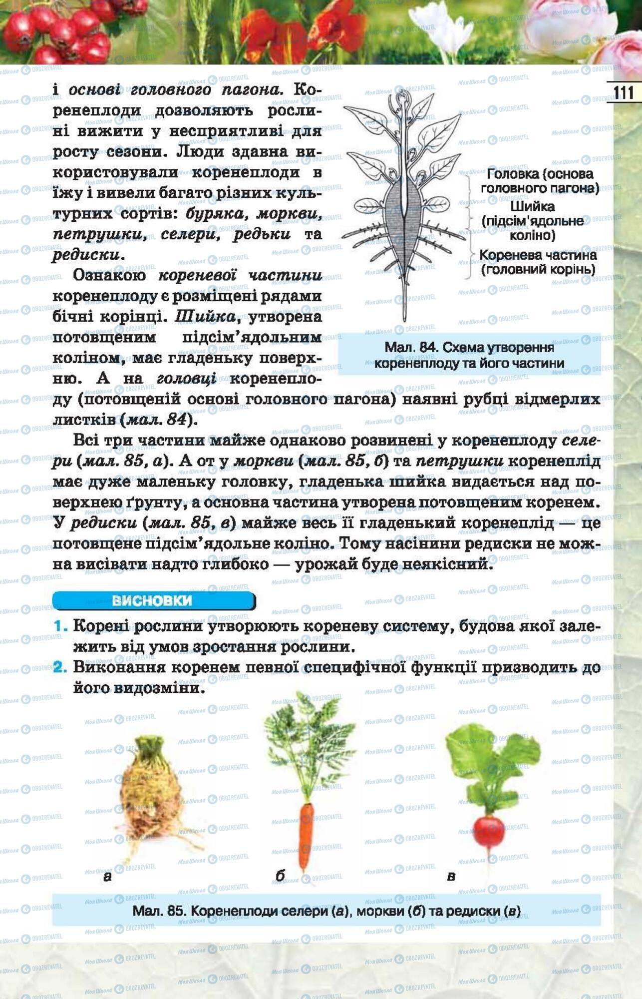 Підручники Біологія 6 клас сторінка 111