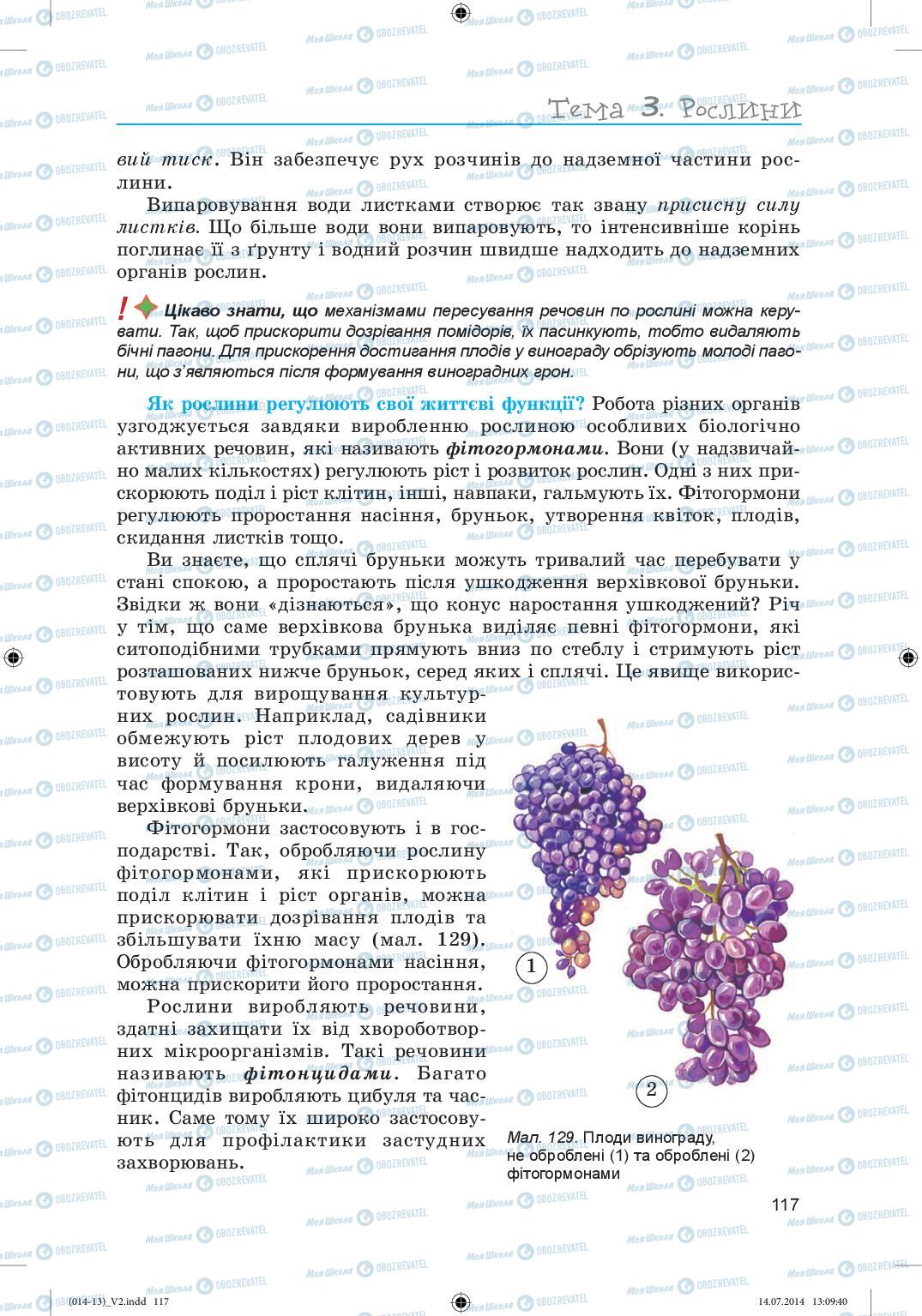 Підручники Біологія 6 клас сторінка 117