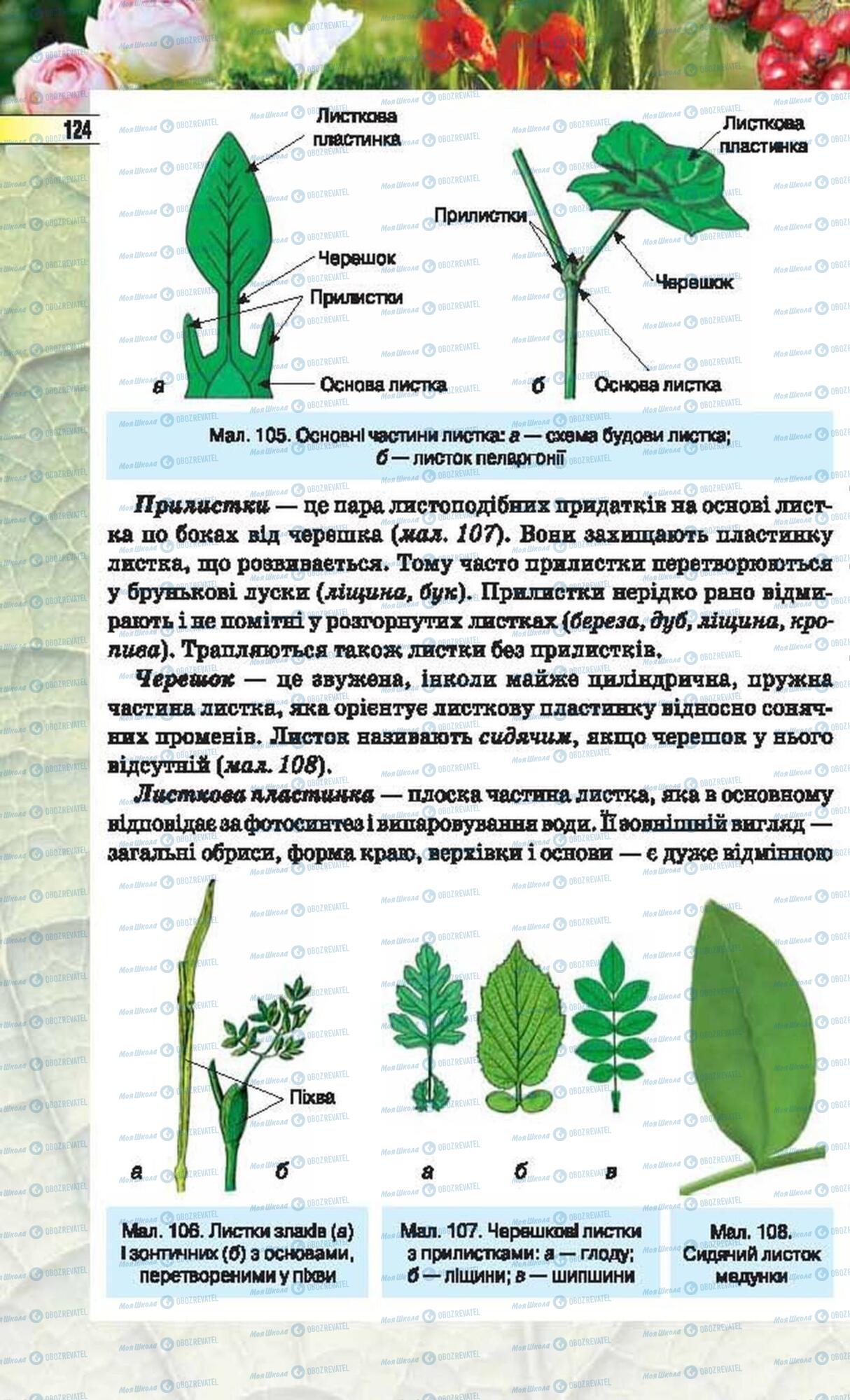 Підручники Біологія 6 клас сторінка 124