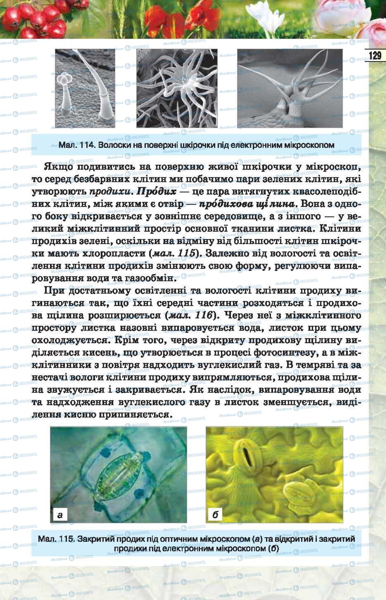 Підручники Біологія 6 клас сторінка 129