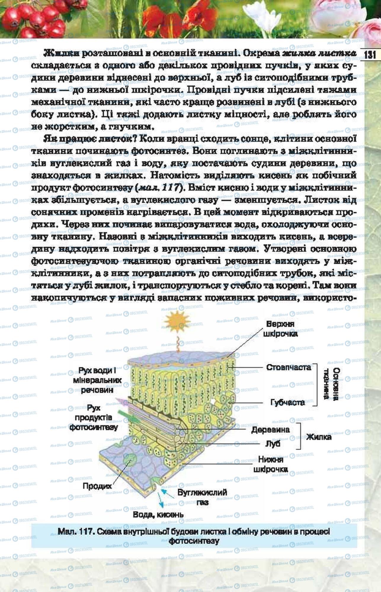 Учебники Биология 6 класс страница 131