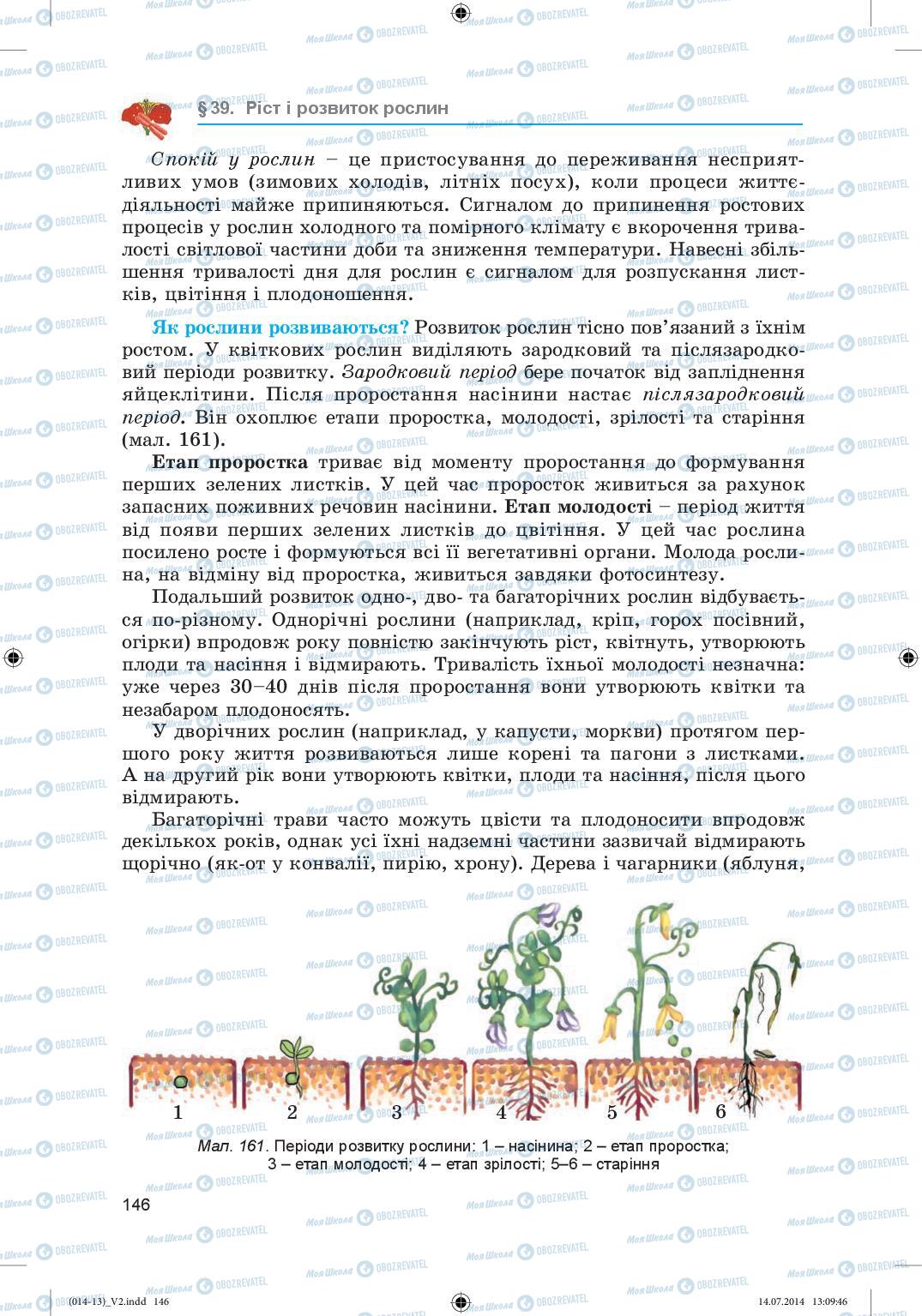 Підручники Біологія 6 клас сторінка 146