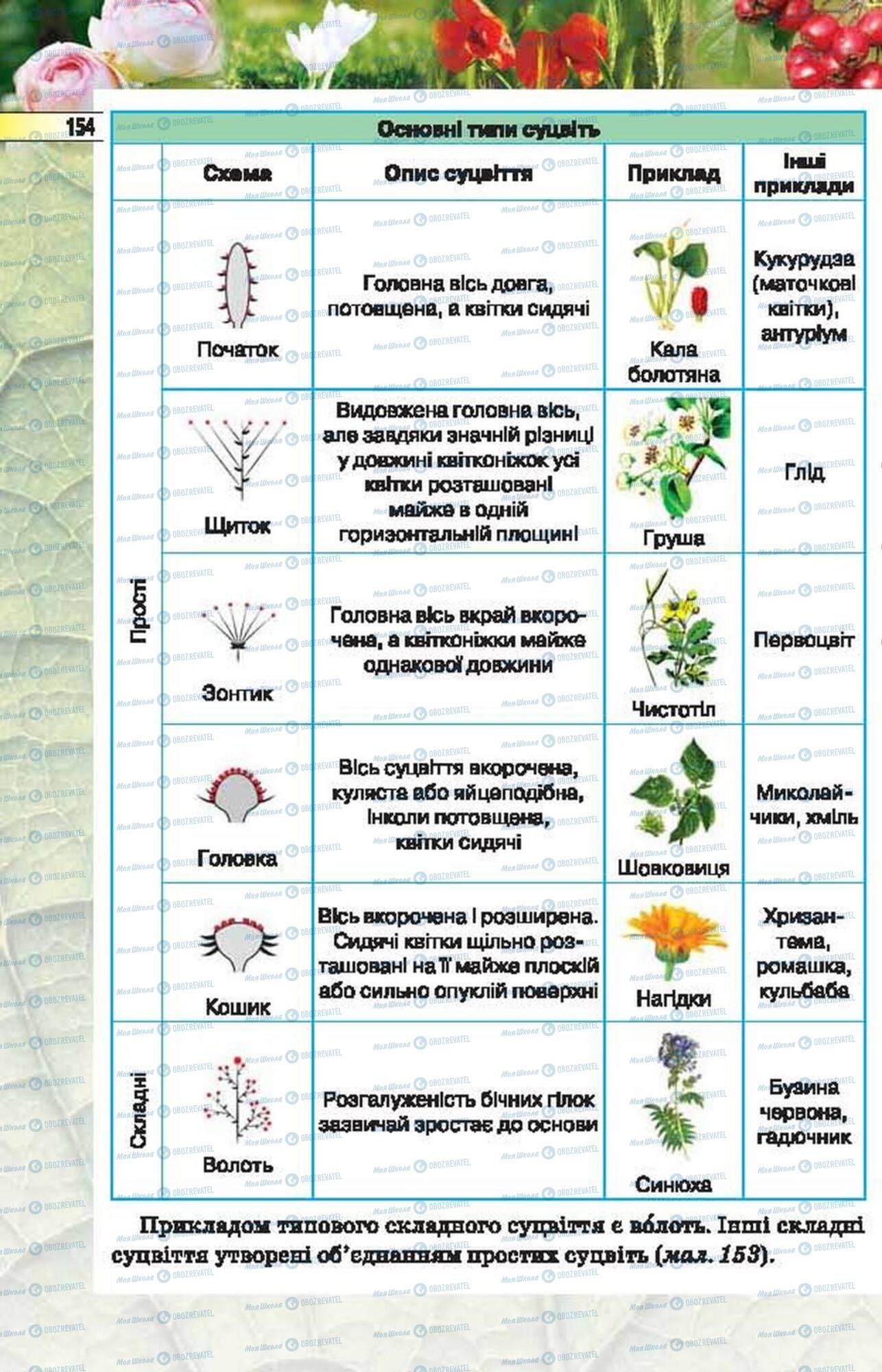 Учебники Биология 6 класс страница 154