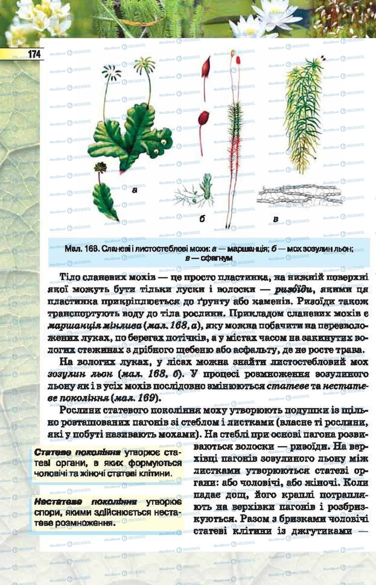 Підручники Біологія 6 клас сторінка 174
