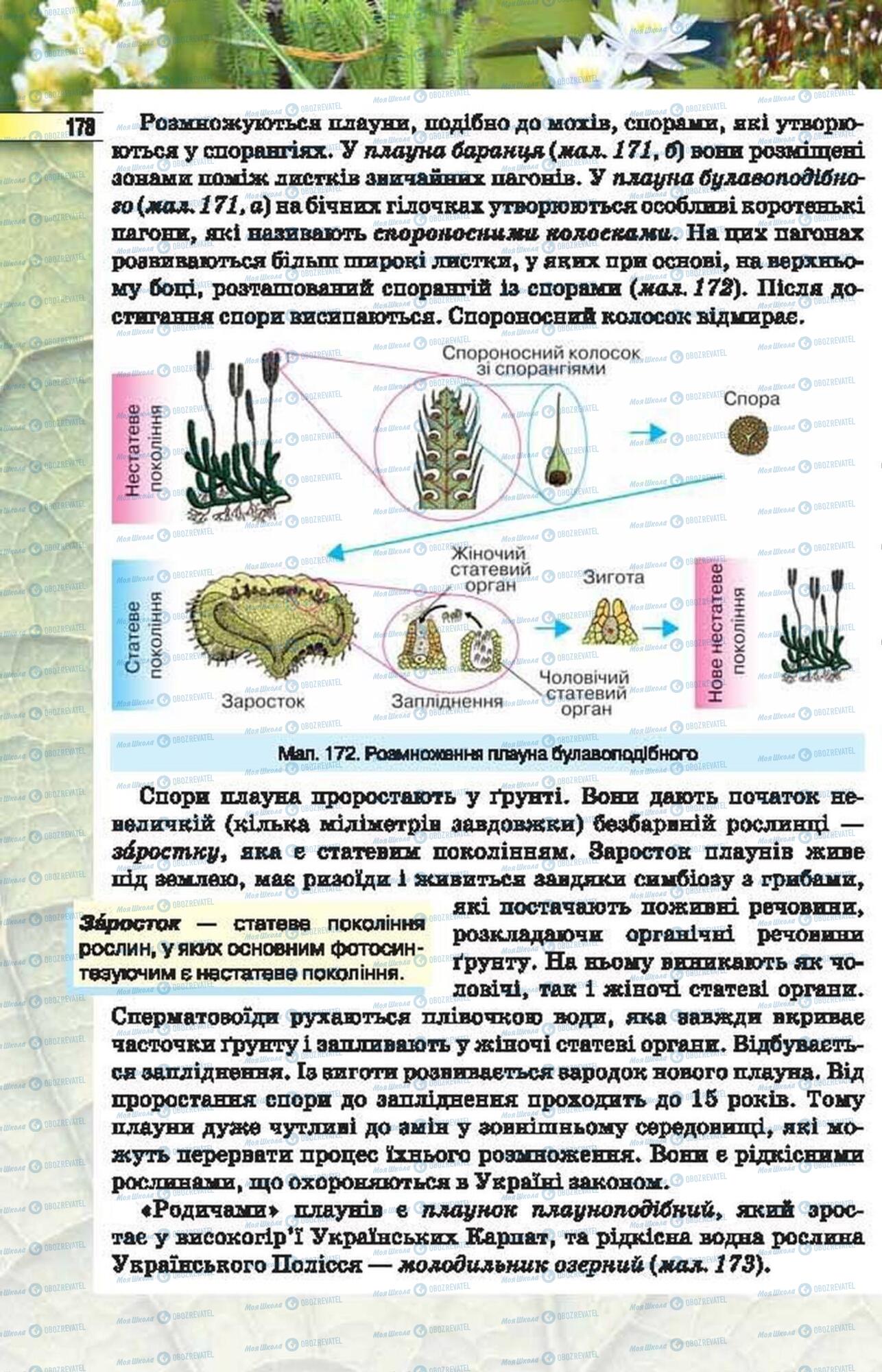 Підручники Біологія 6 клас сторінка 178