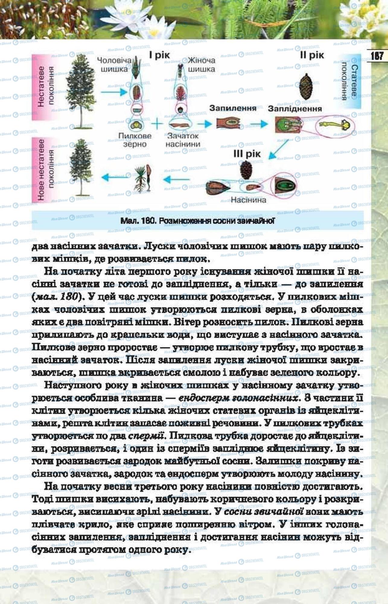 Учебники Биология 6 класс страница 187