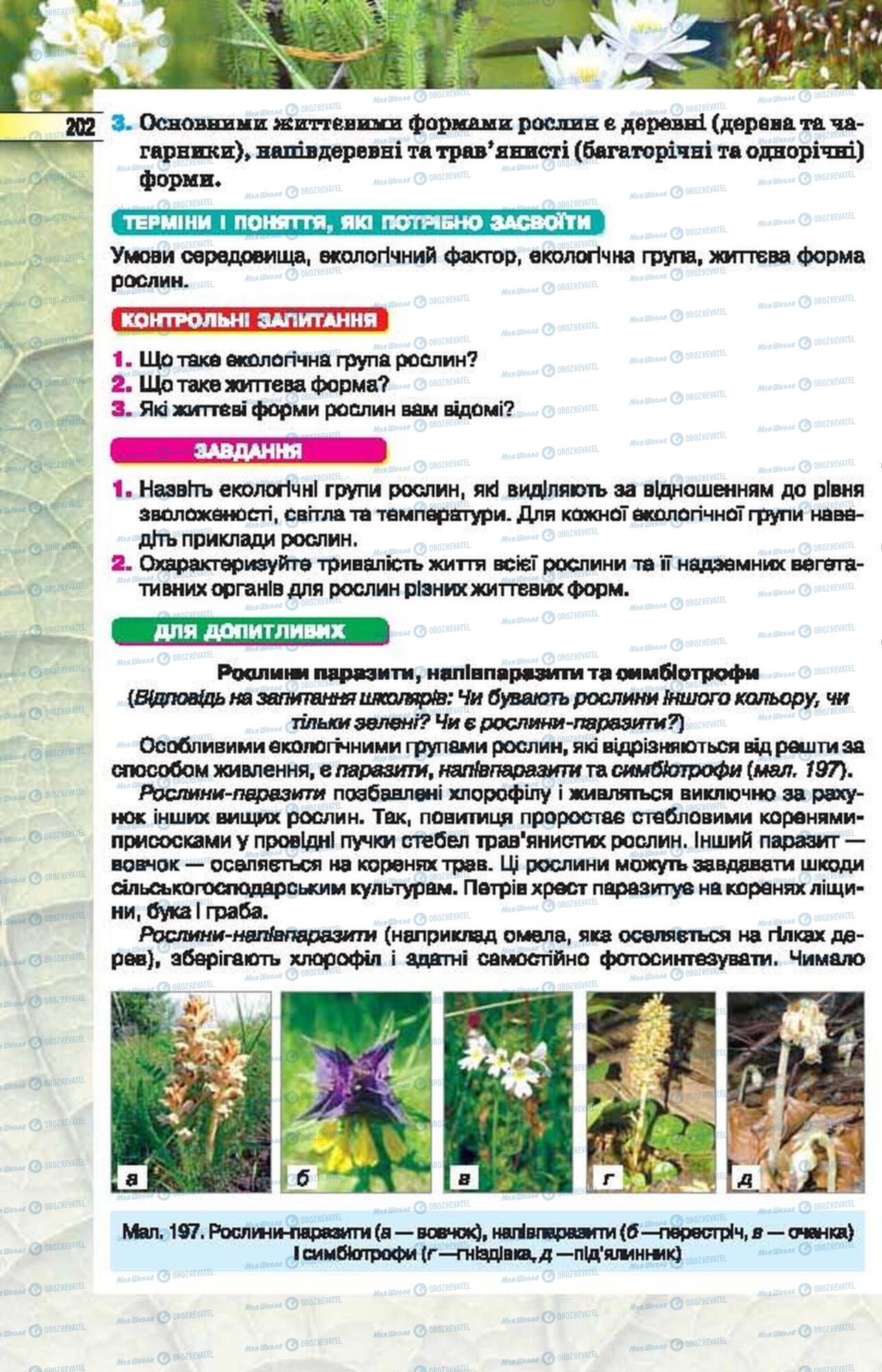 Підручники Біологія 6 клас сторінка 202