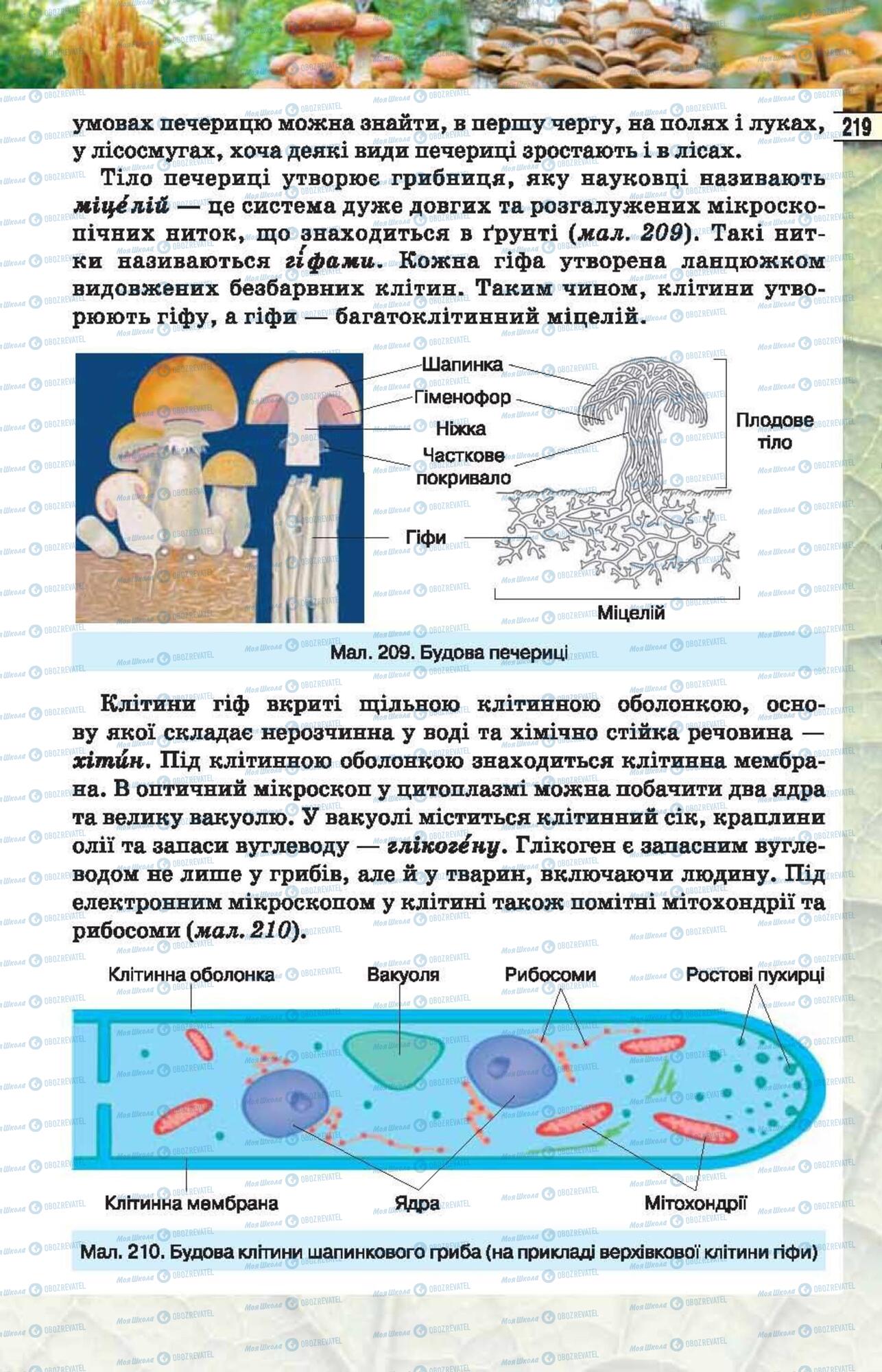 Підручники Біологія 6 клас сторінка 219