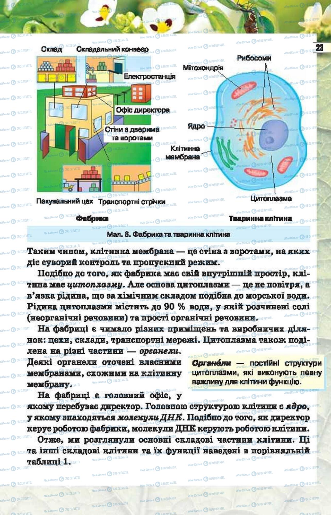 Підручники Біологія 6 клас сторінка 23