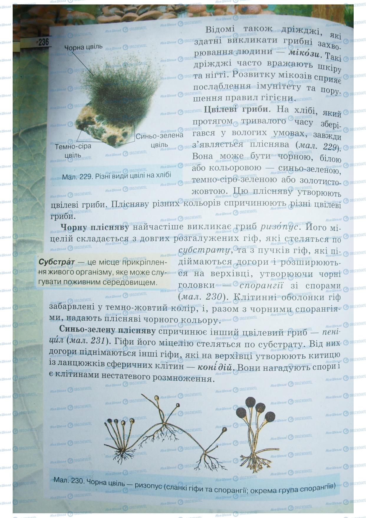 Підручники Біологія 6 клас сторінка 236