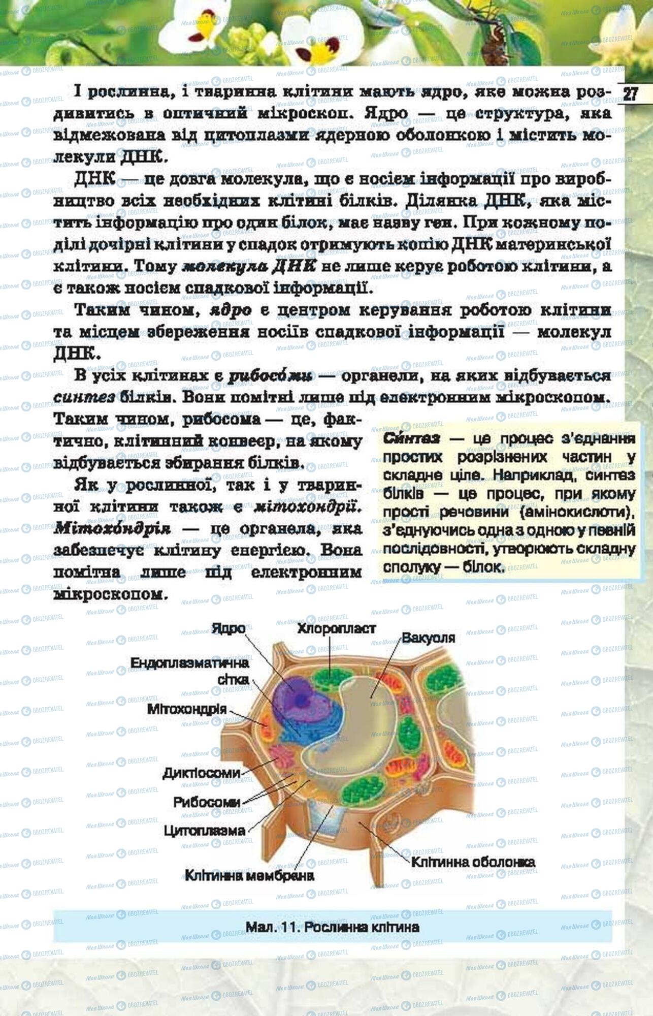 Підручники Біологія 6 клас сторінка 27