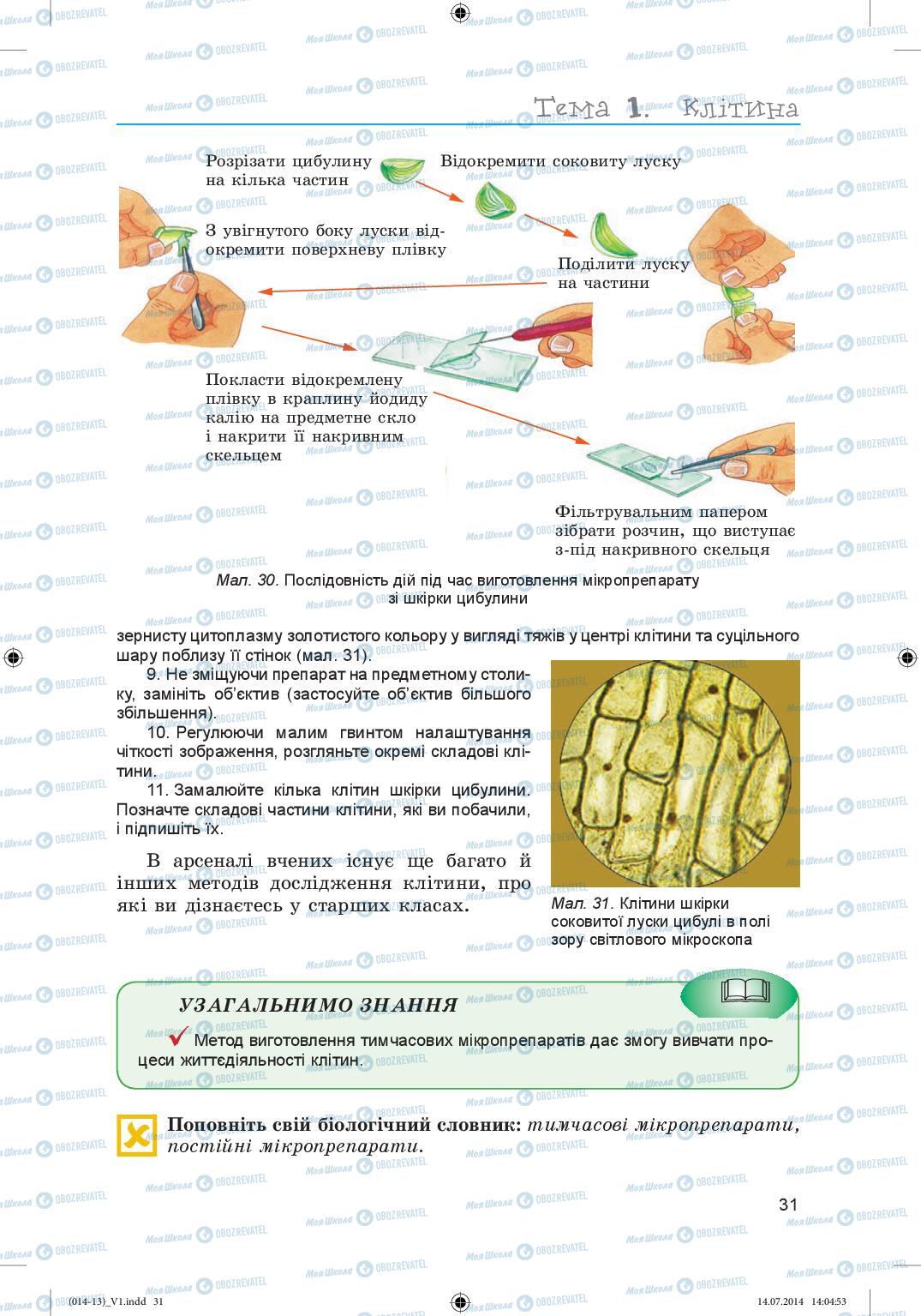 Підручники Біологія 6 клас сторінка 31