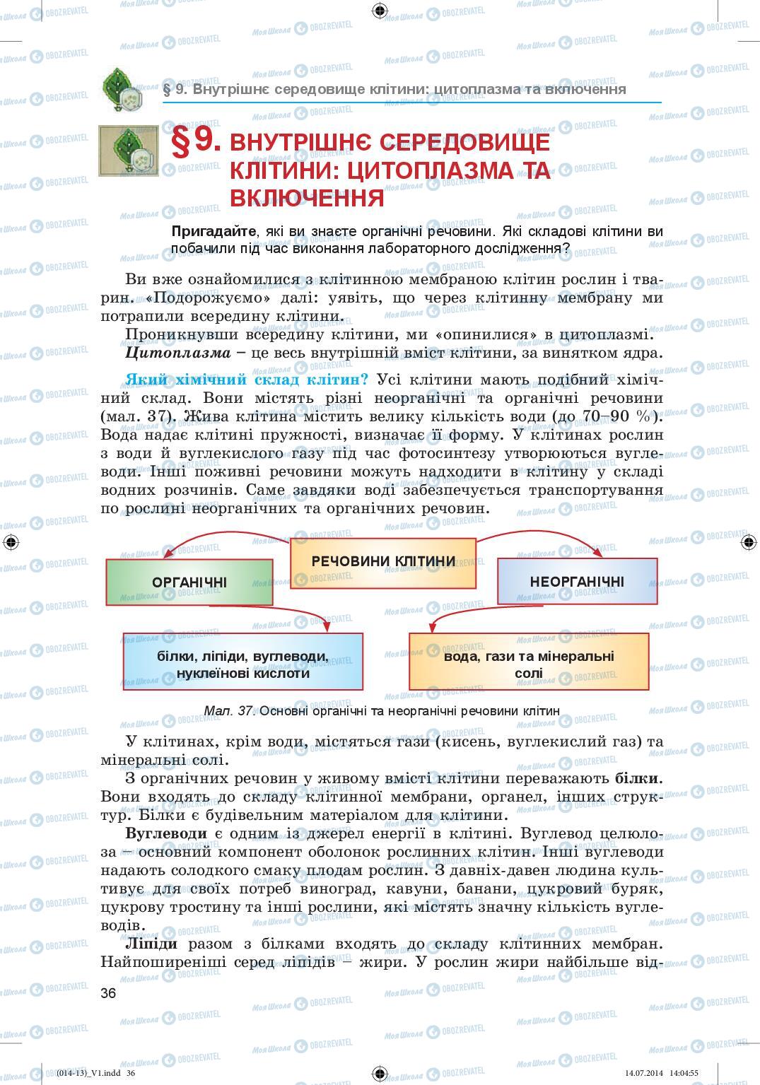 Підручники Біологія 6 клас сторінка 36