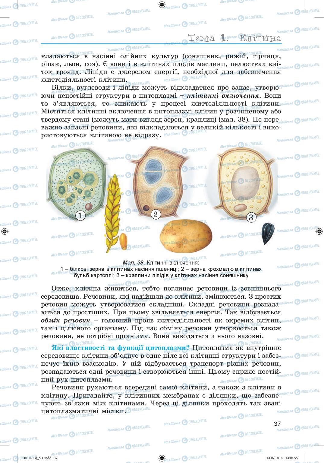 Підручники Біологія 6 клас сторінка 37