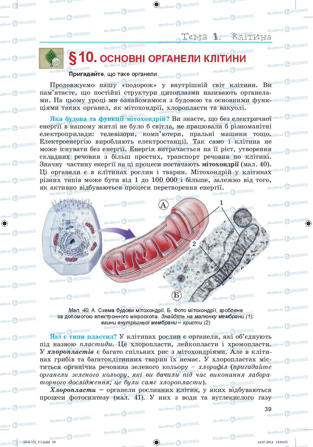 Підручники Біологія 6 клас сторінка 39