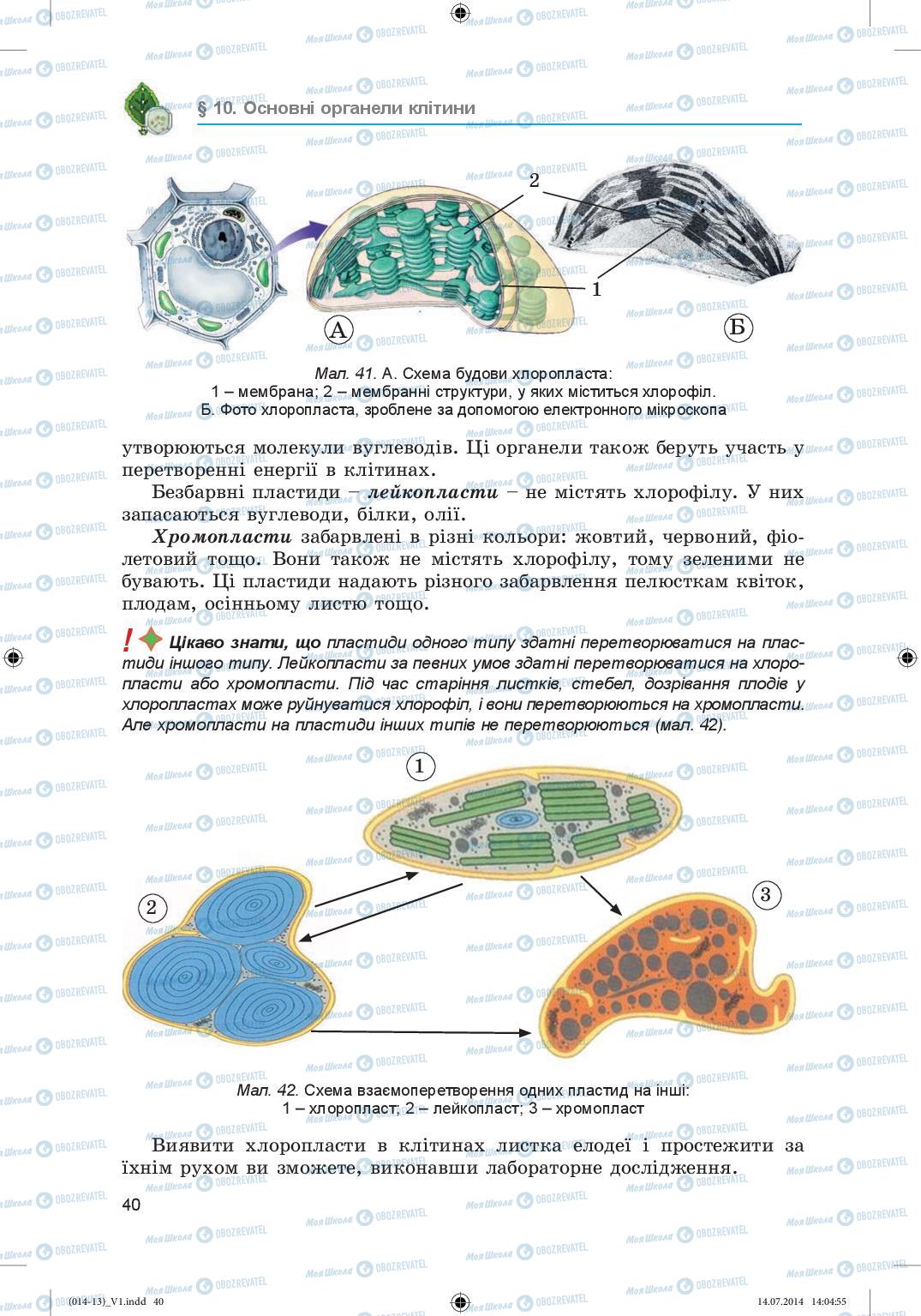 Учебники Биология 6 класс страница 40