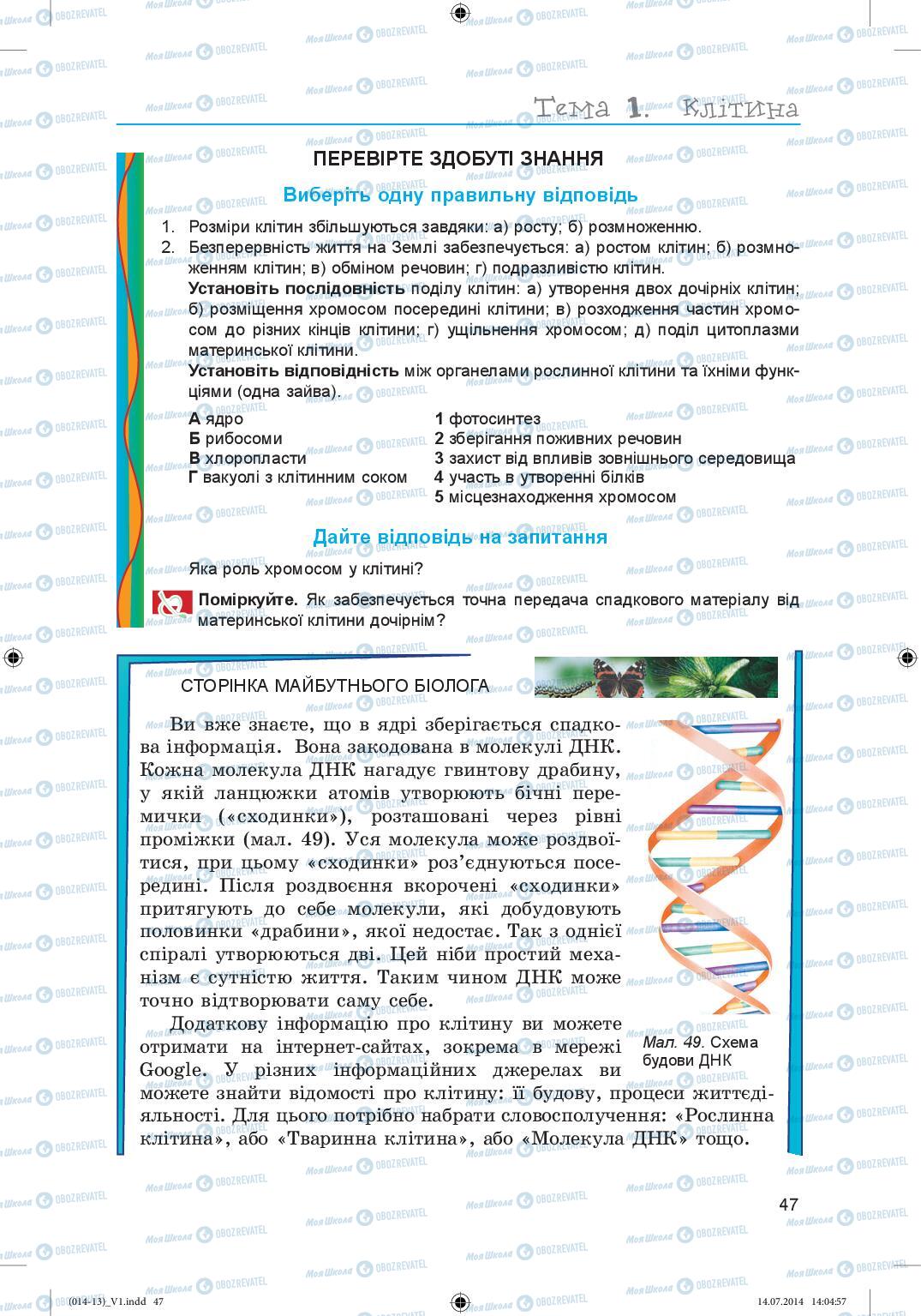 Підручники Біологія 6 клас сторінка 47