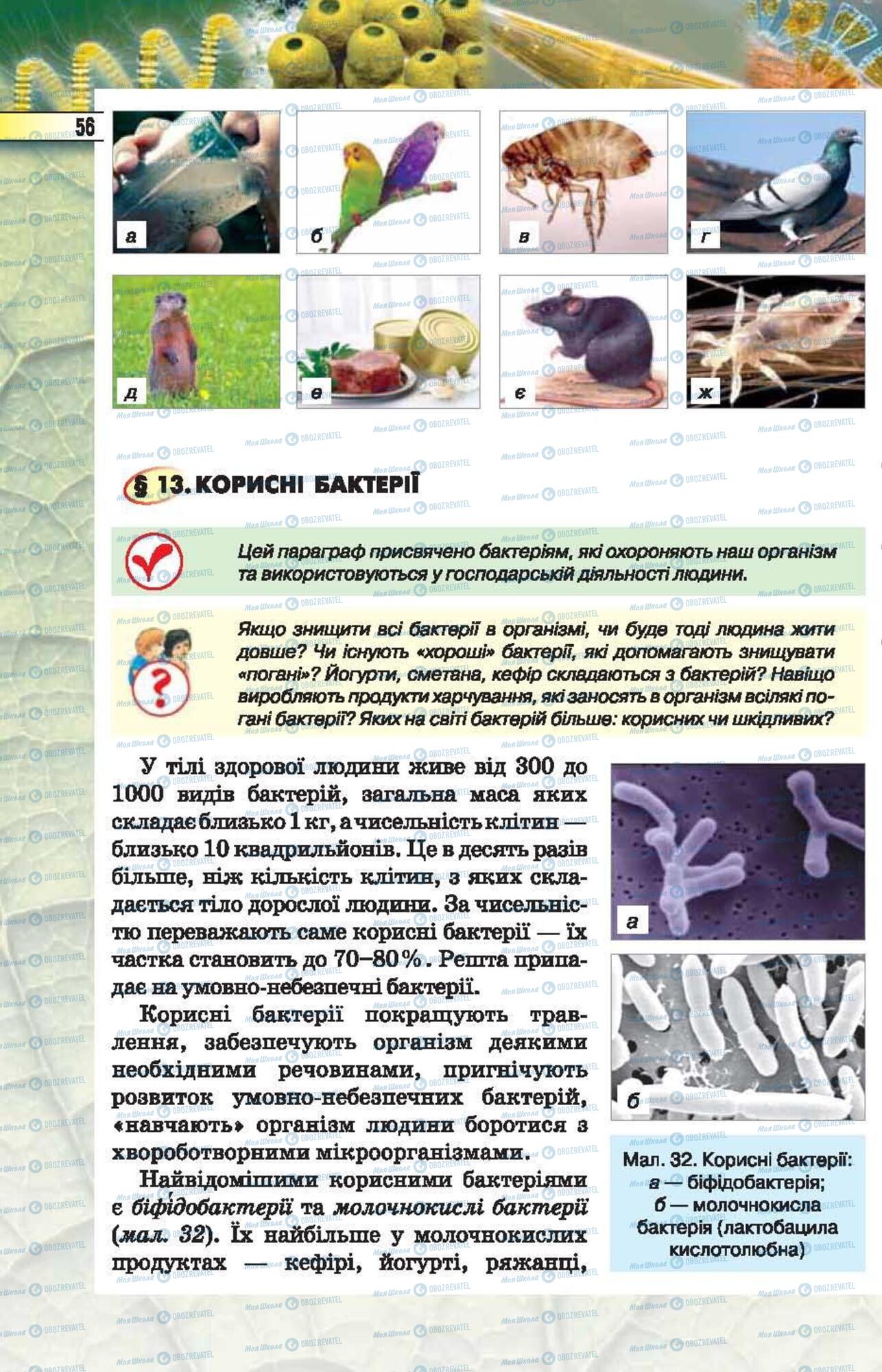 Підручники Біологія 6 клас сторінка 56