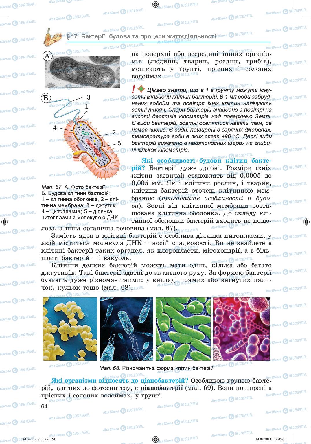 Підручники Біологія 6 клас сторінка 64