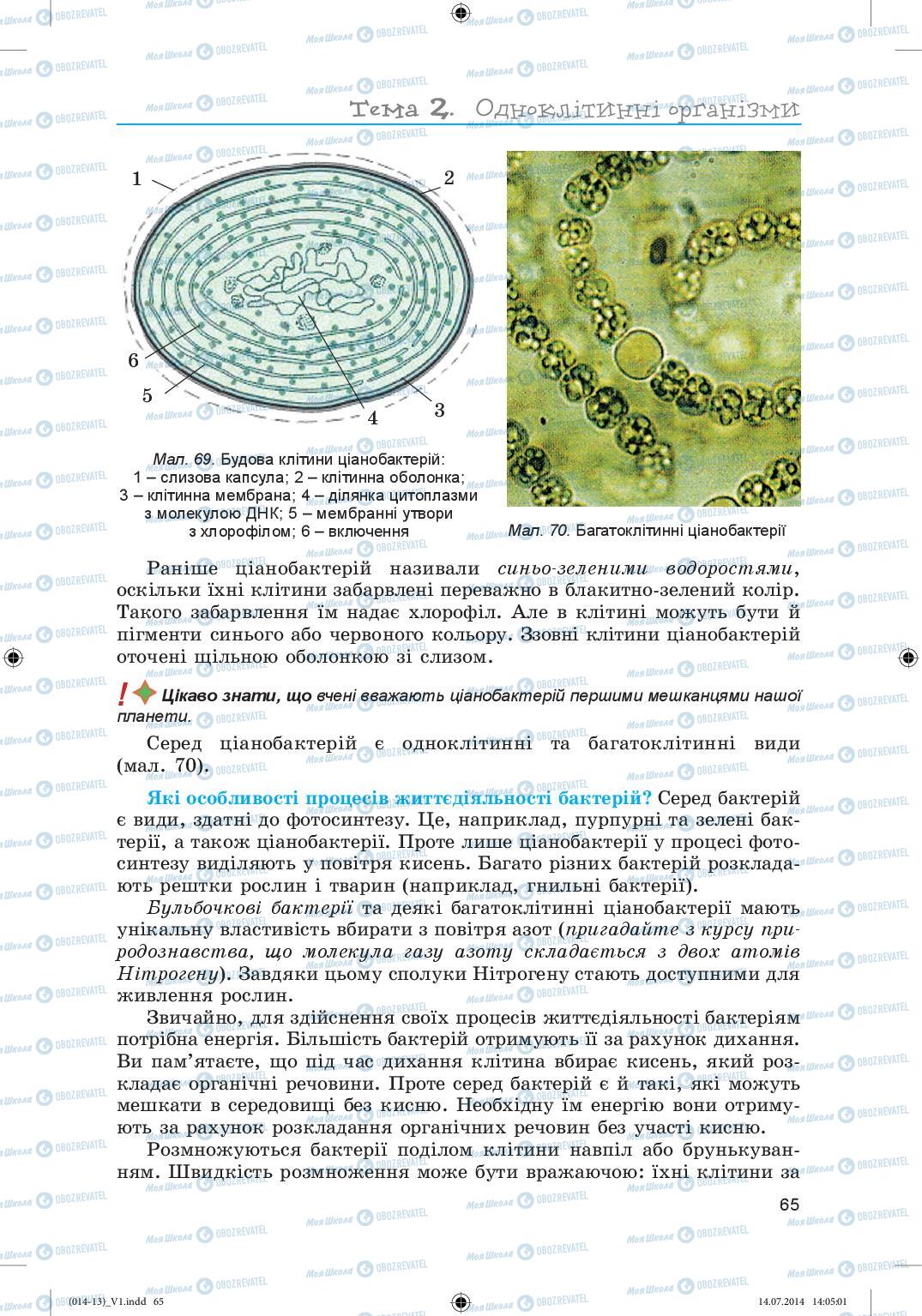 Учебники Биология 6 класс страница 65
