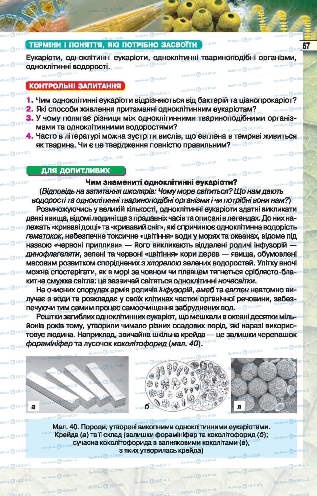 Підручники Біологія 6 клас сторінка 67