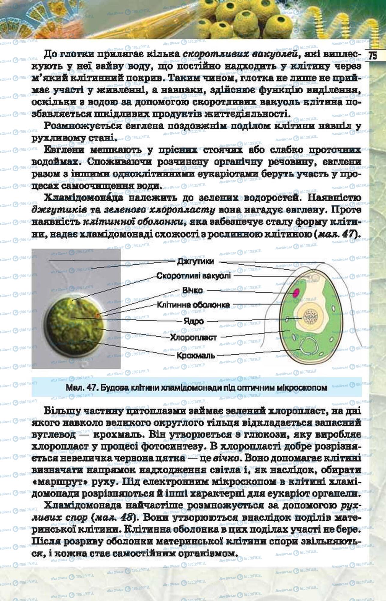 Підручники Біологія 6 клас сторінка  75