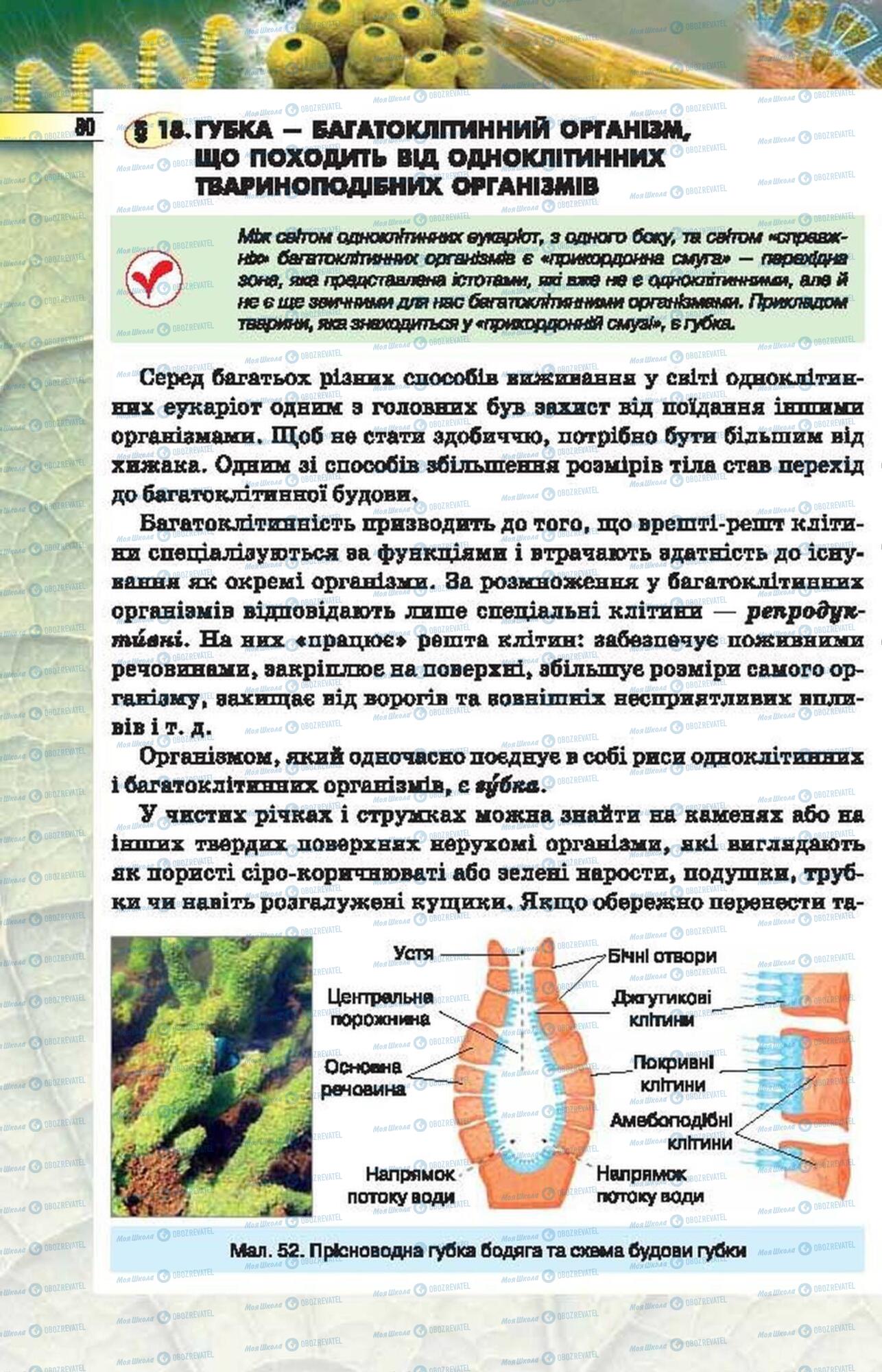 Підручники Біологія 6 клас сторінка 80