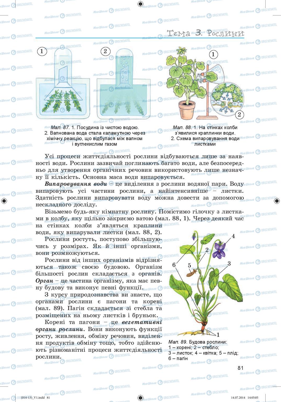 Учебники Биология 6 класс страница 81