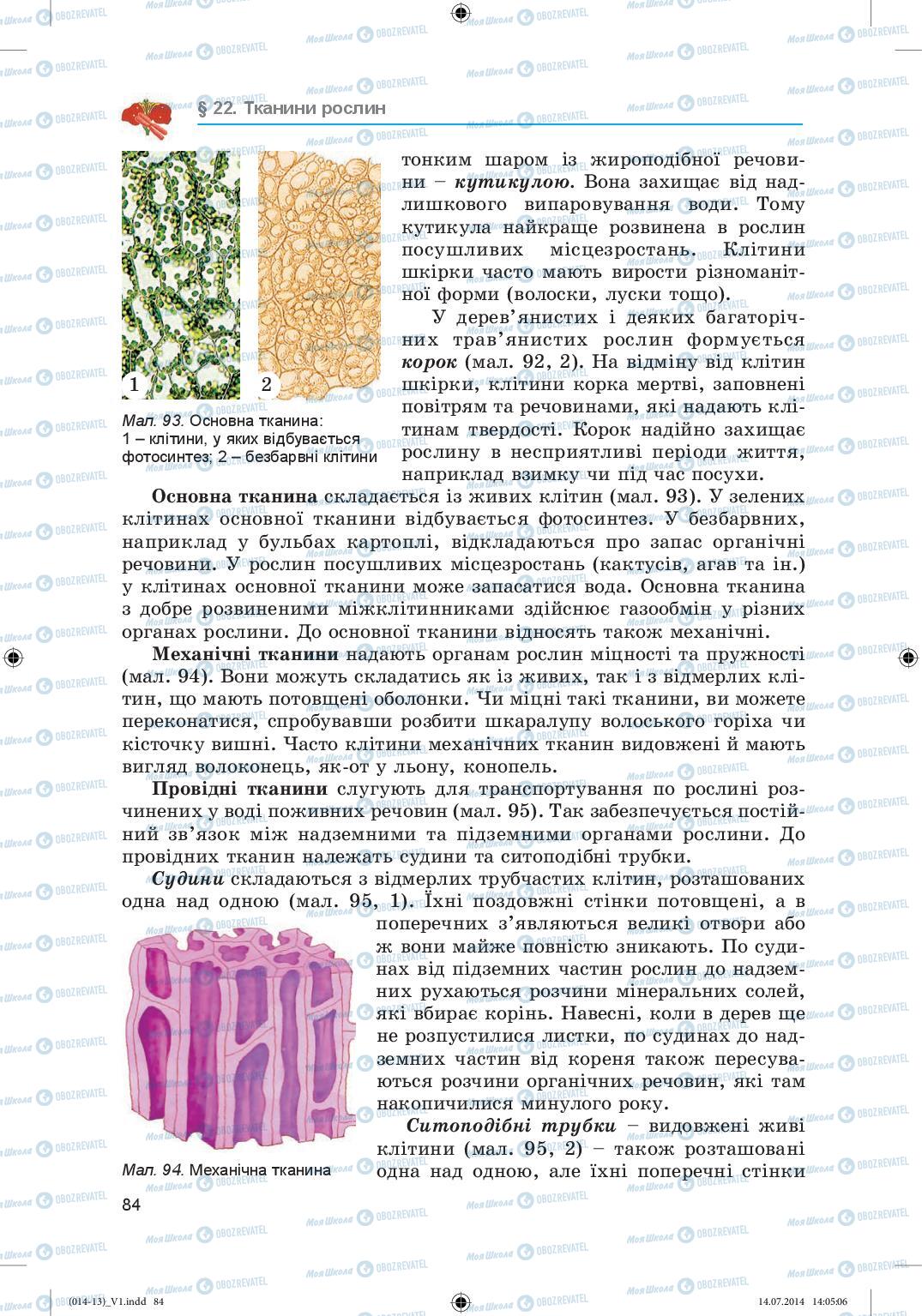 Підручники Біологія 6 клас сторінка 84