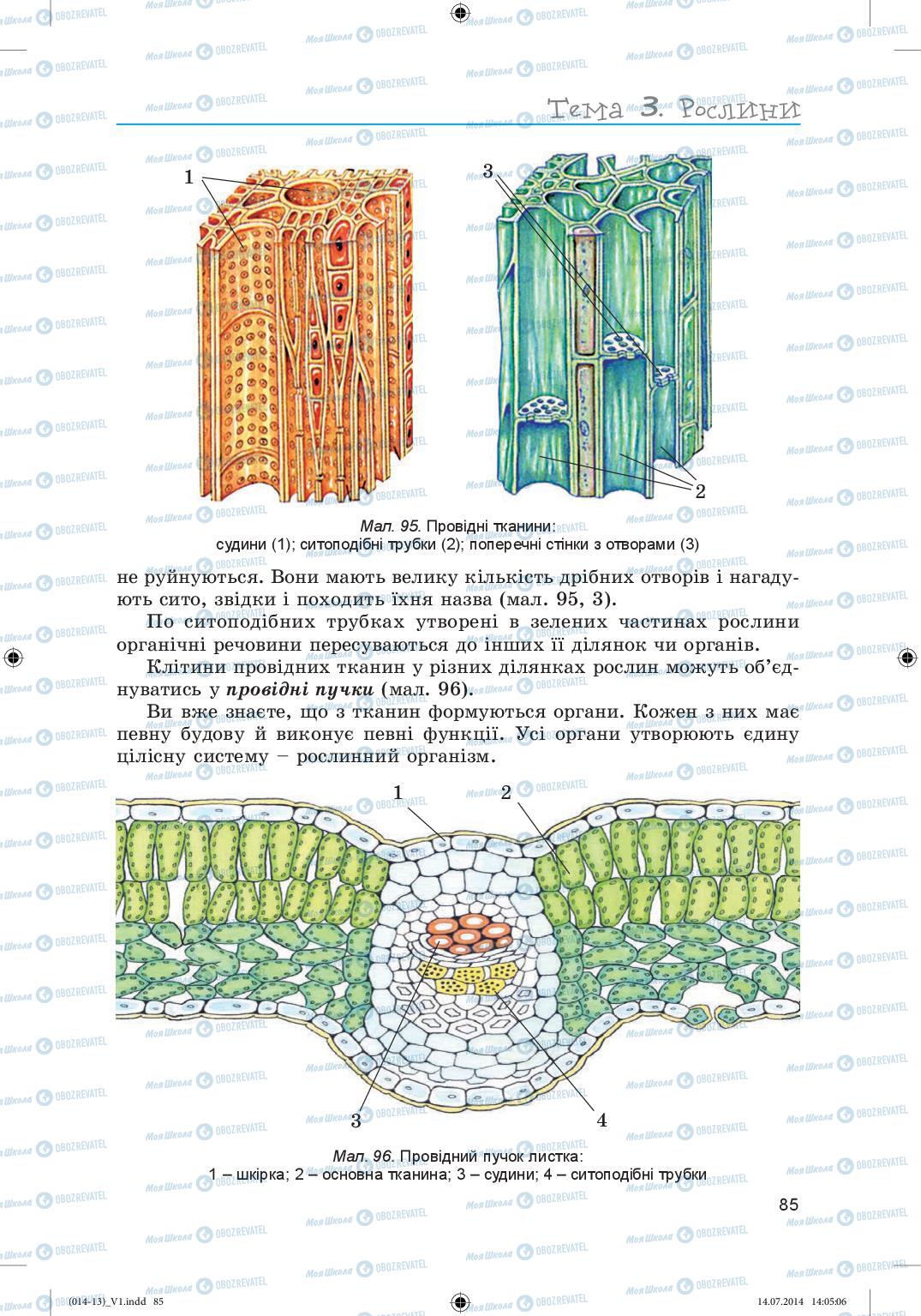 Учебники Биология 6 класс страница 85