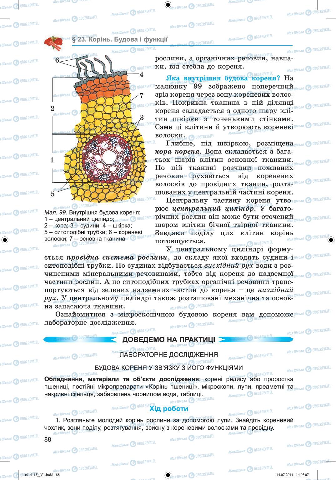 Підручники Біологія 6 клас сторінка 88