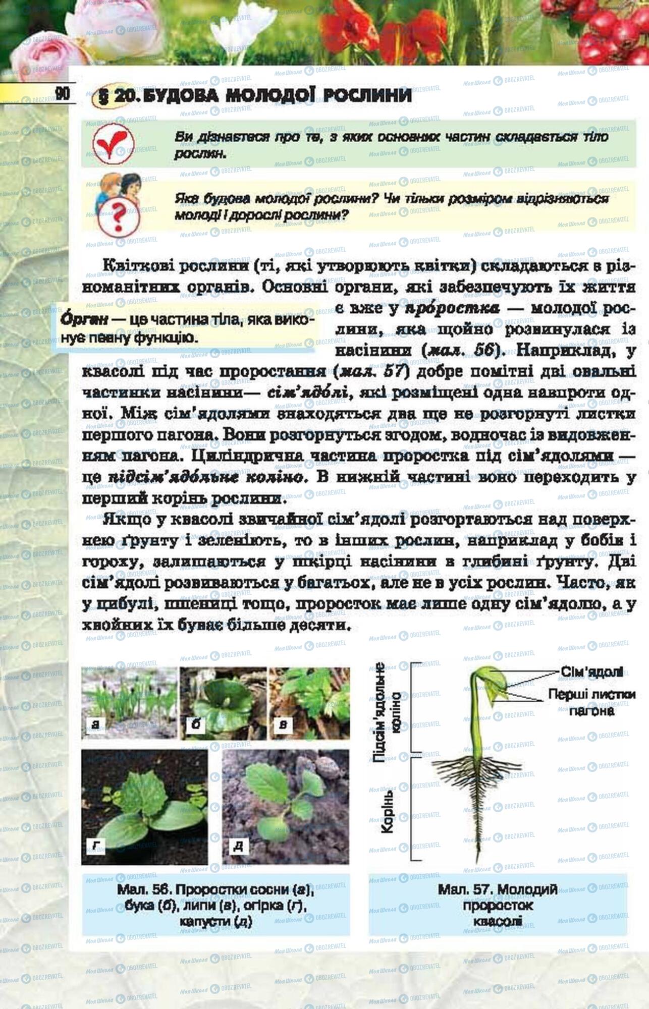 Підручники Біологія 6 клас сторінка  90