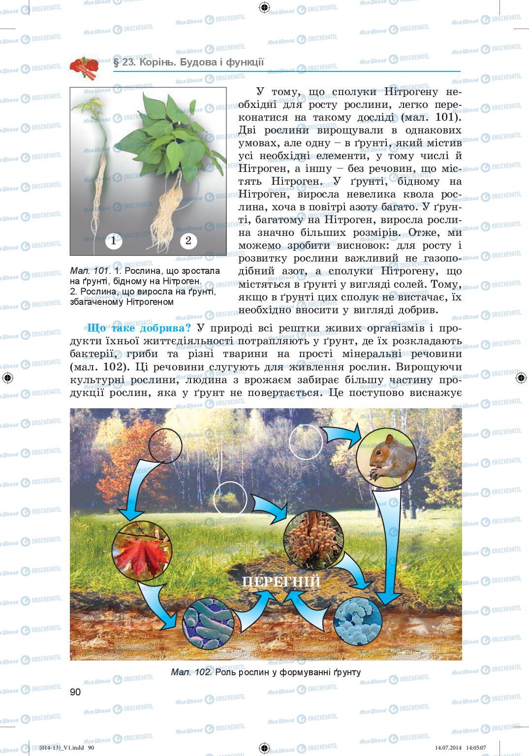 Підручники Біологія 6 клас сторінка 90