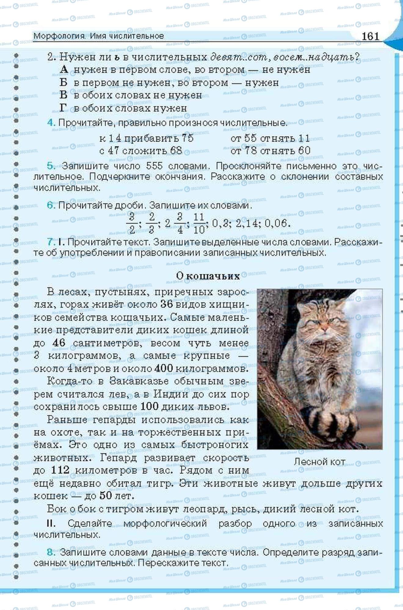 Підручники Російська мова 6 клас сторінка 161