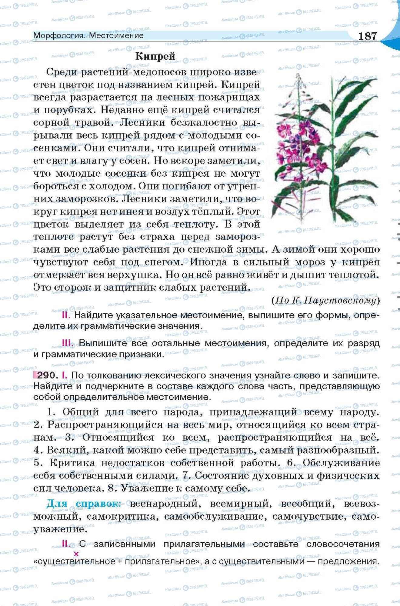 Підручники Російська мова 6 клас сторінка 187