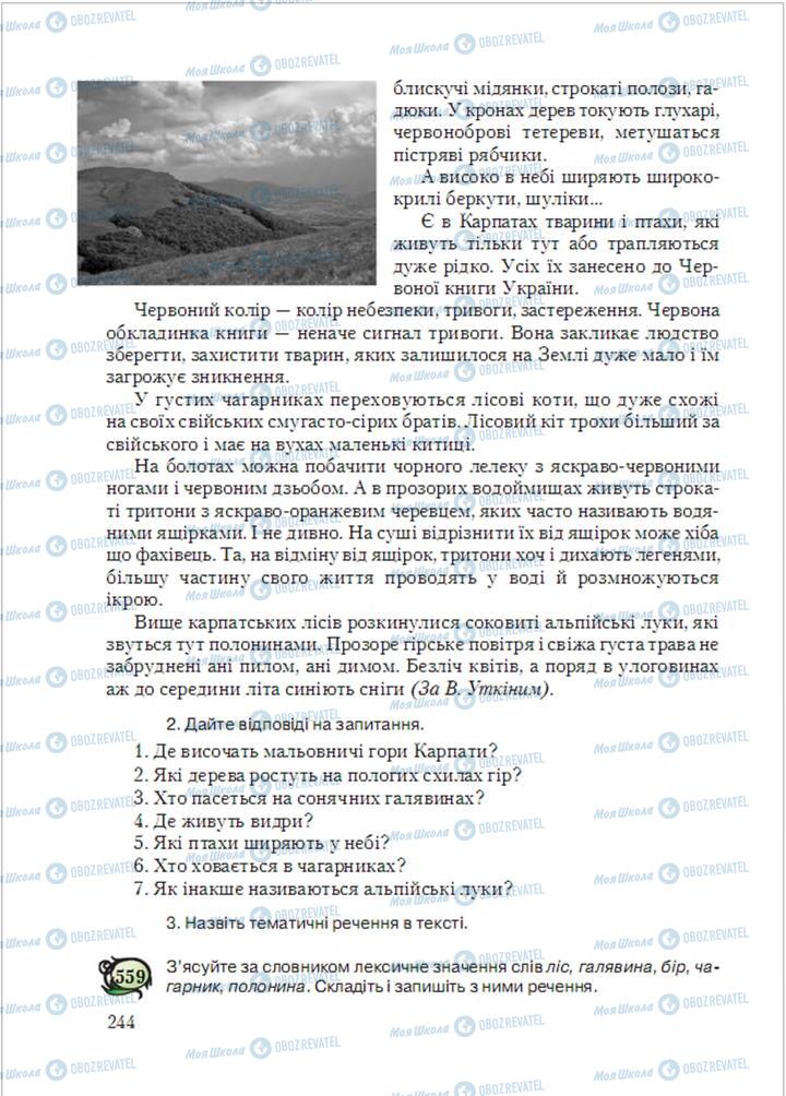 Підручники Українська мова 6 клас сторінка  244