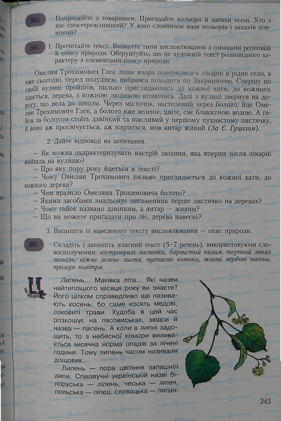 Підручники Українська мова 6 клас сторінка 245