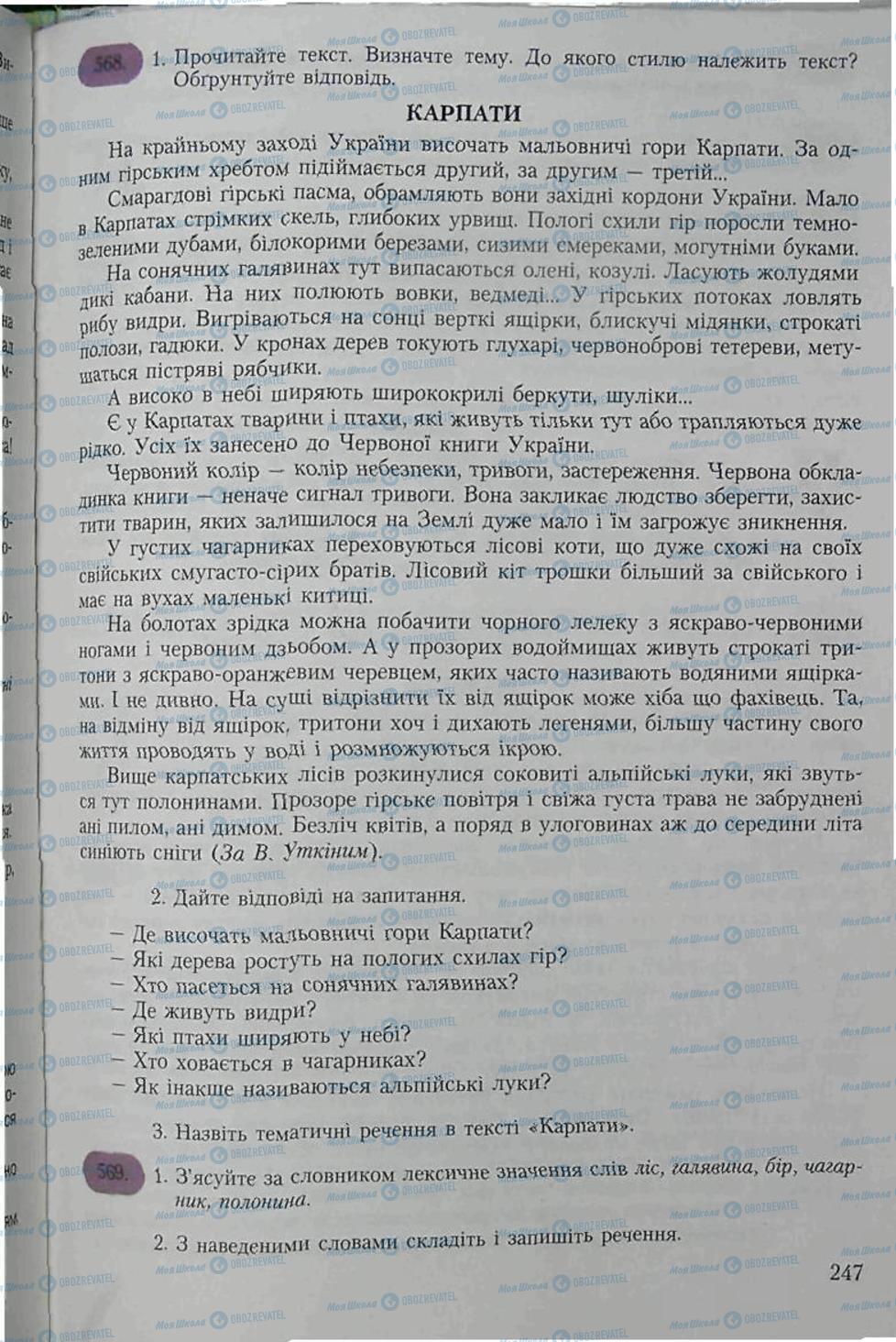 Підручники Українська мова 6 клас сторінка 247