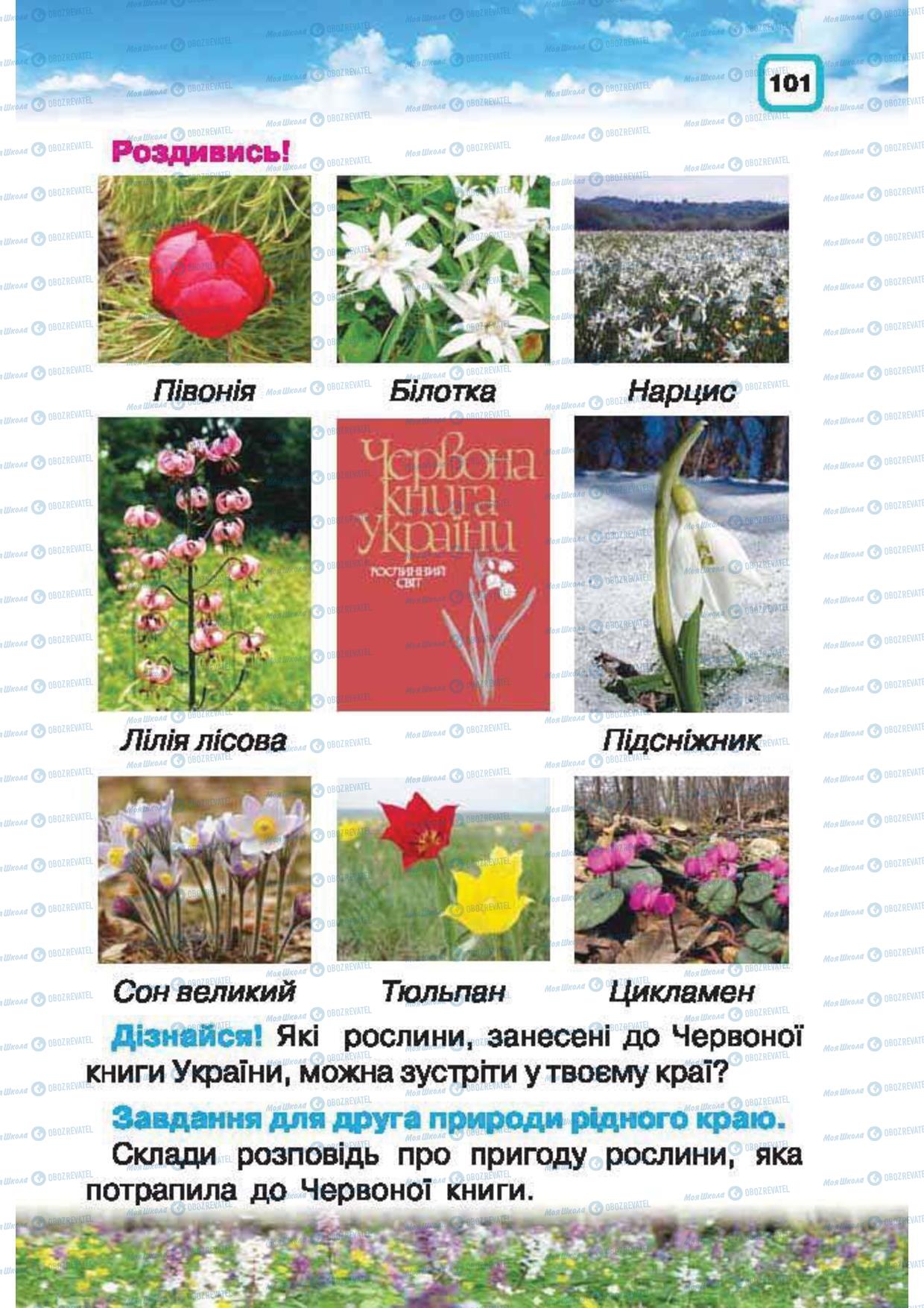 Підручники Природознавство 1 клас сторінка 101