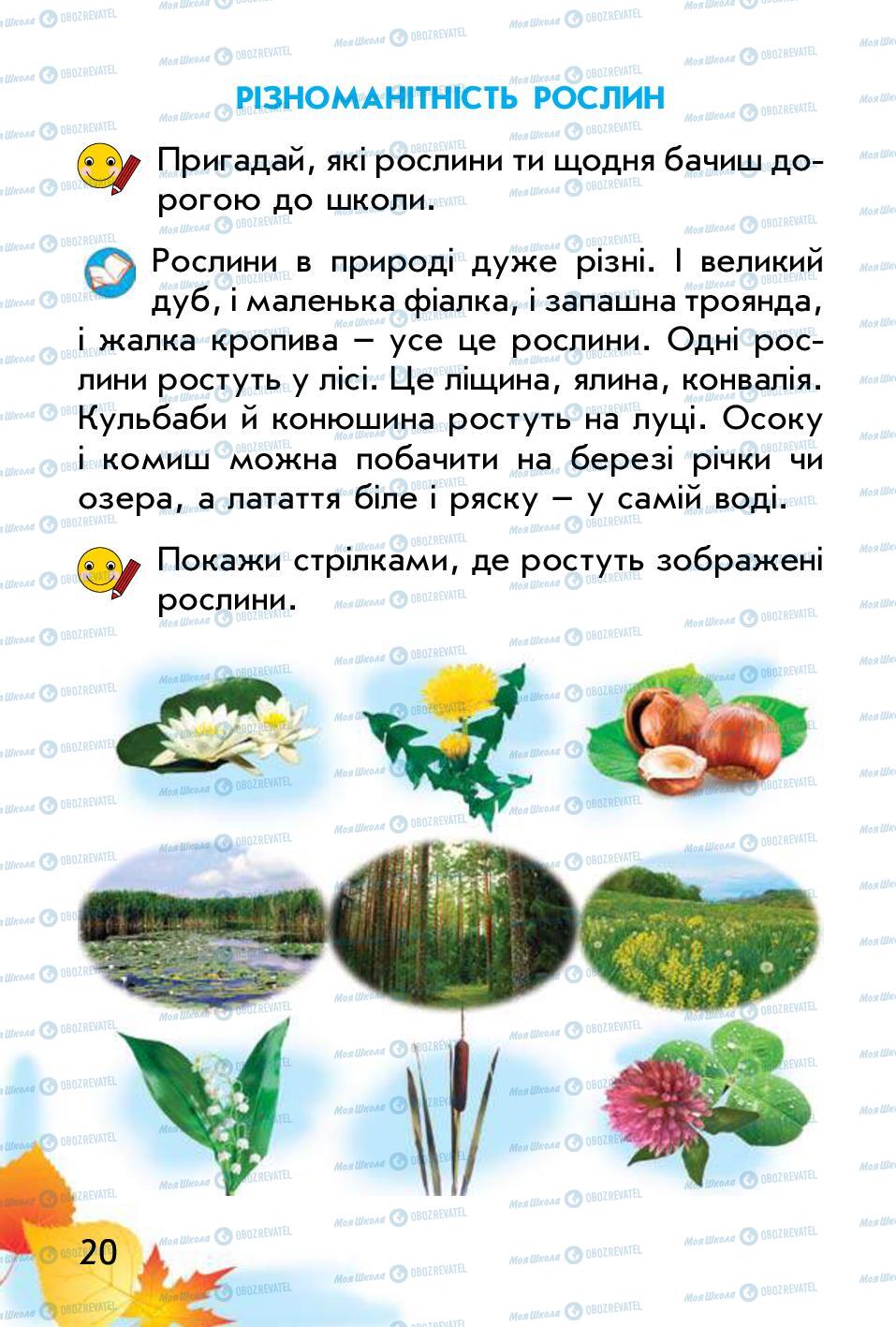 Учебники Природоведение 1 класс страница 20