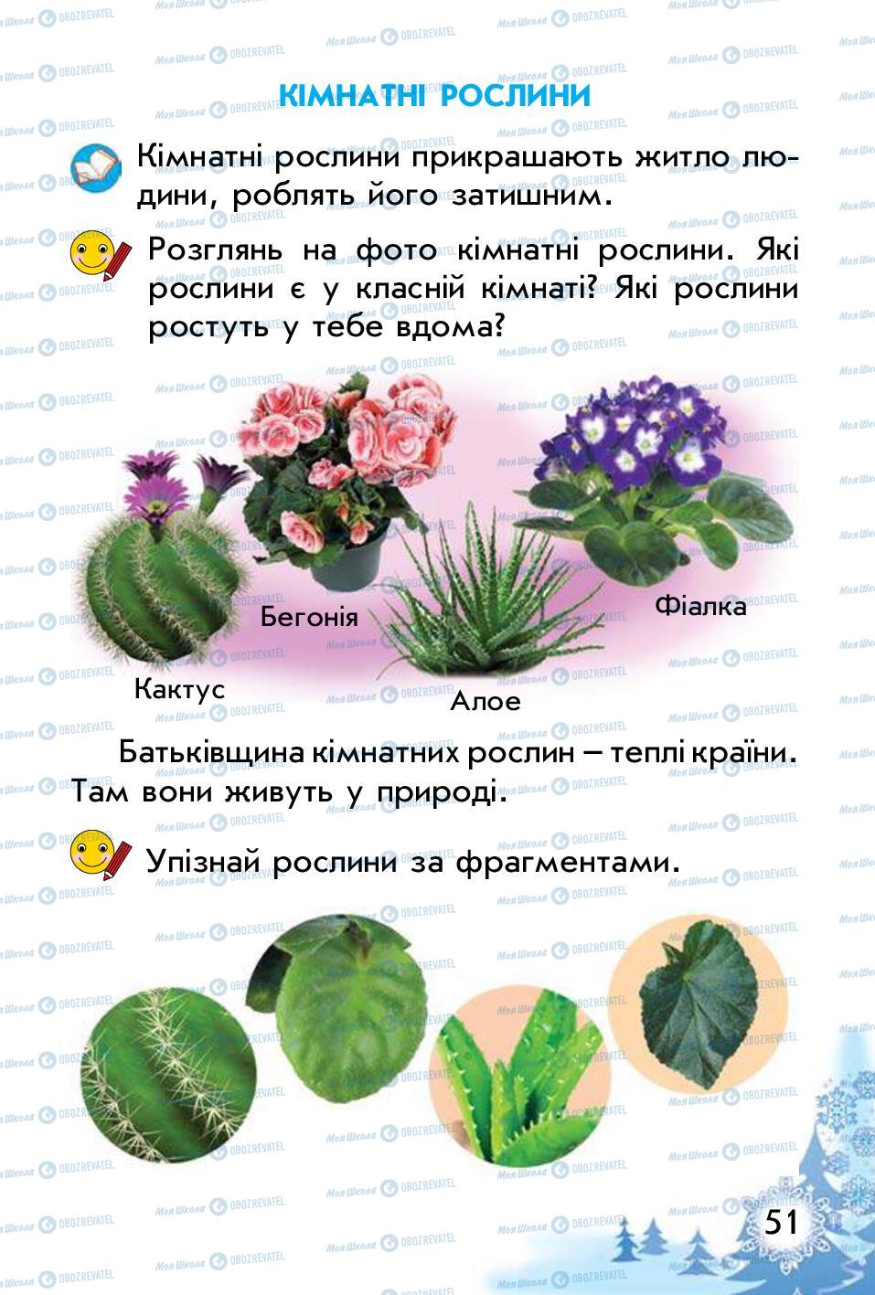 Підручники Природознавство 1 клас сторінка 51