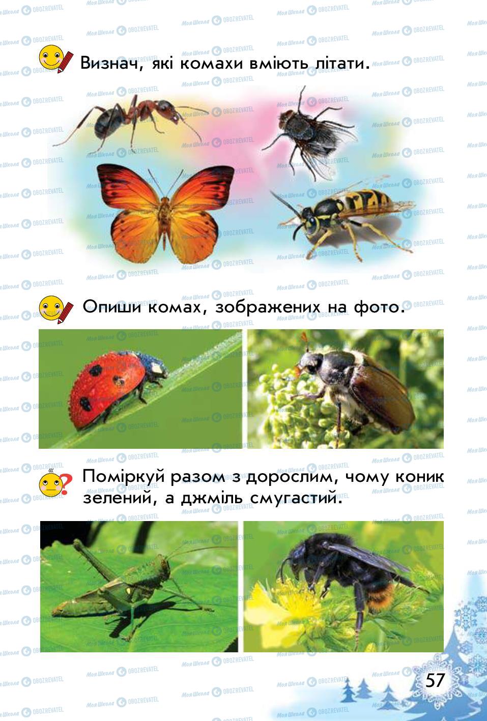 Підручники Природознавство 1 клас сторінка 57