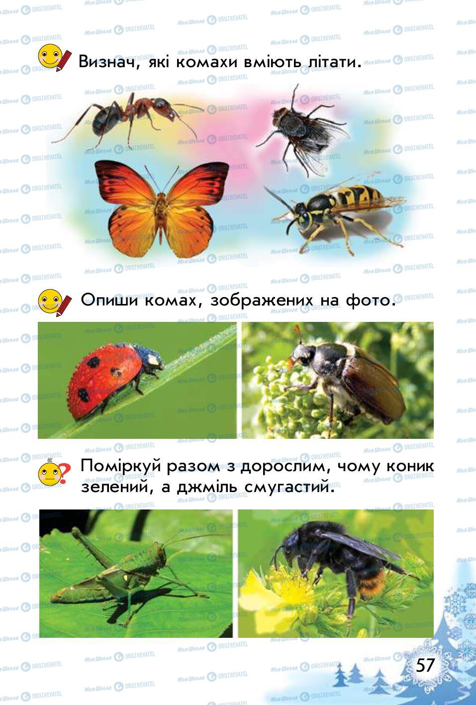 Учебники Природоведение 1 класс страница 57